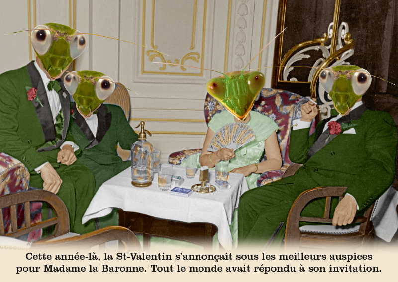 Les belles cartes postales de Bébert Plonk & Replonk – Collection «L’Univers à l’envers» – Cette année là, la St Valentin s’annonçait sous les meilleures auspices pour Madame la Baronne. Tout le monde avait répondu à son invitation.