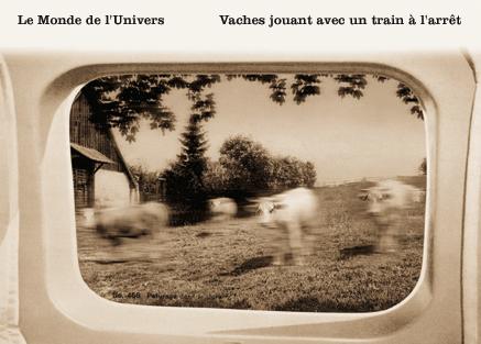 Vaches jouant avec un train